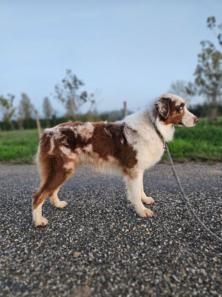 Urben golden lady de gens de garonne