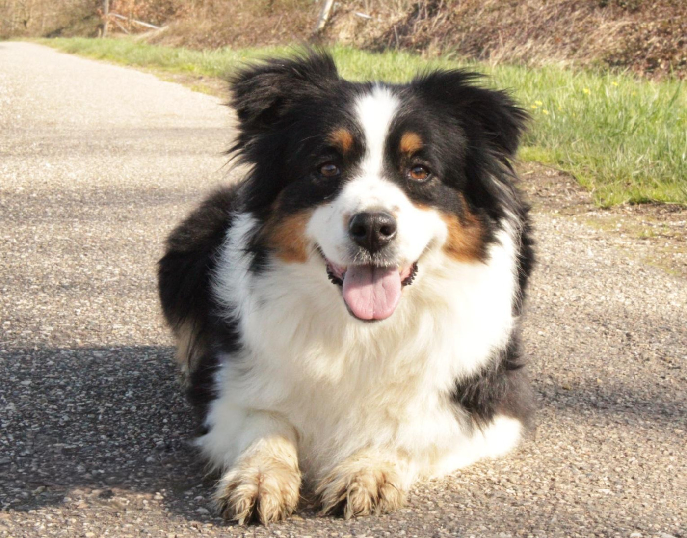 Tahiti l'authentique Du Domaine Du Clos Australien