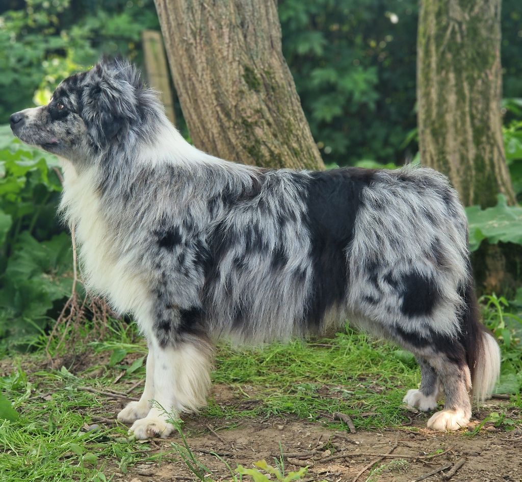 Thorgal (Sans Affixe)