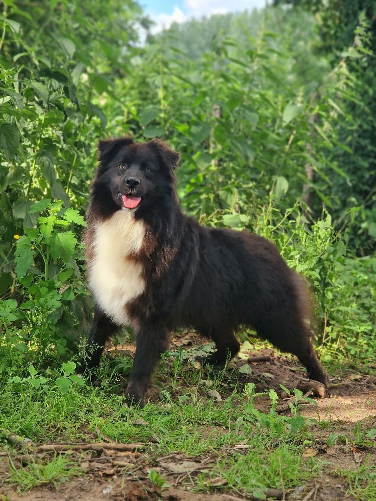 Very good boy vinau Du Domaine Du Clos Australien