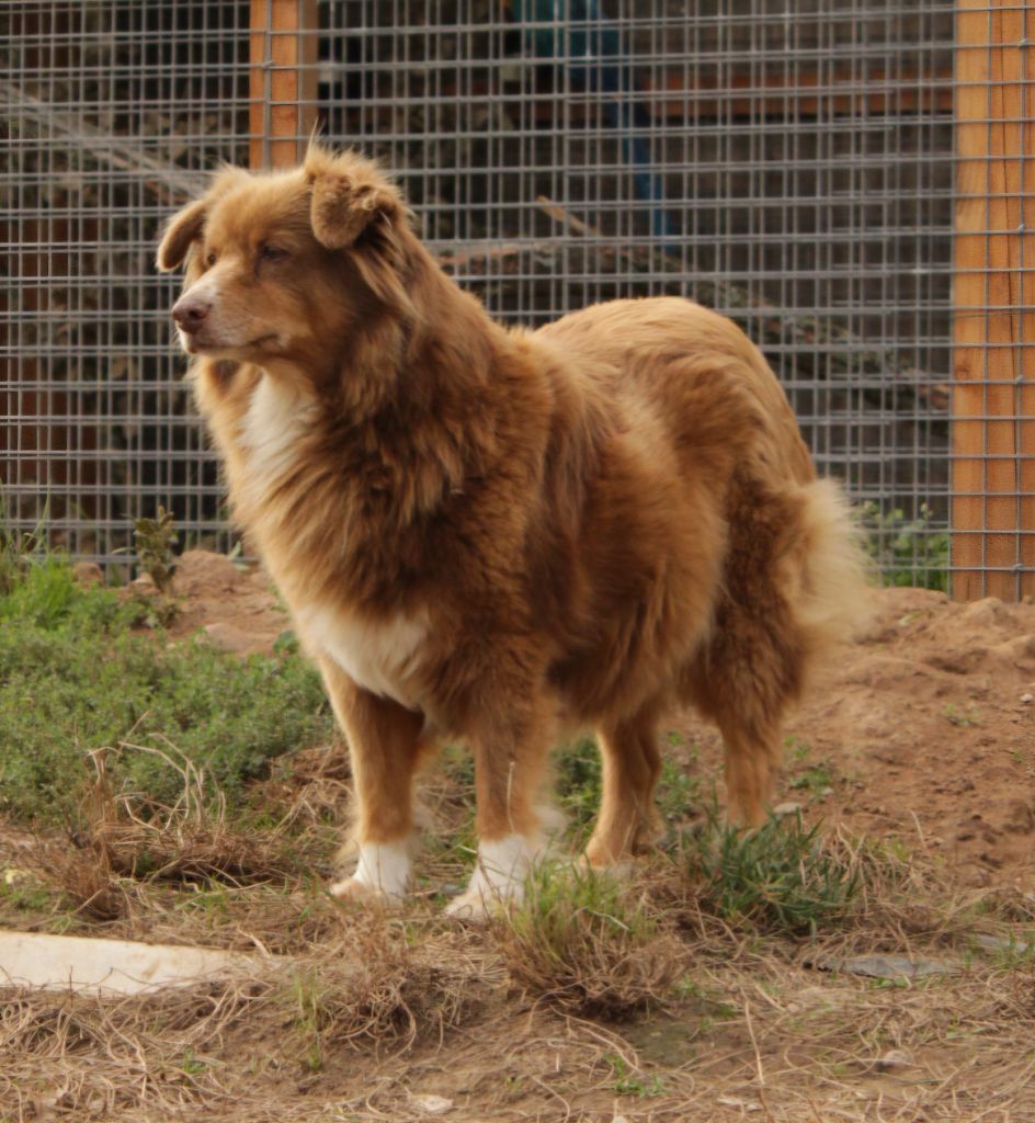 Joy lady (Sans Affixe)