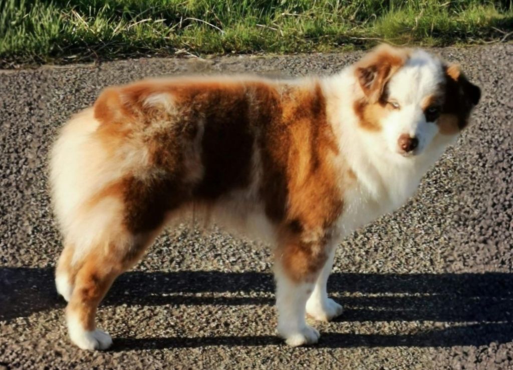 moonbaby's Rough and tumble-priya