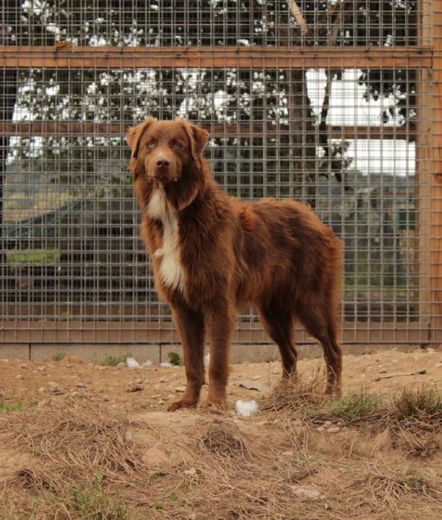 circle b A heart of love with the eyes of ocean