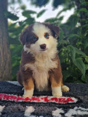 A precious doll