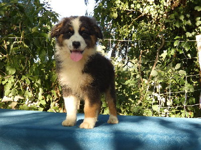 A little sweety